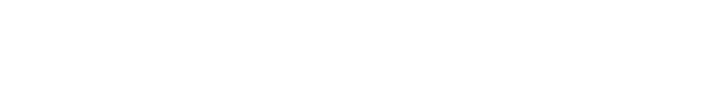 Bullet Delivery